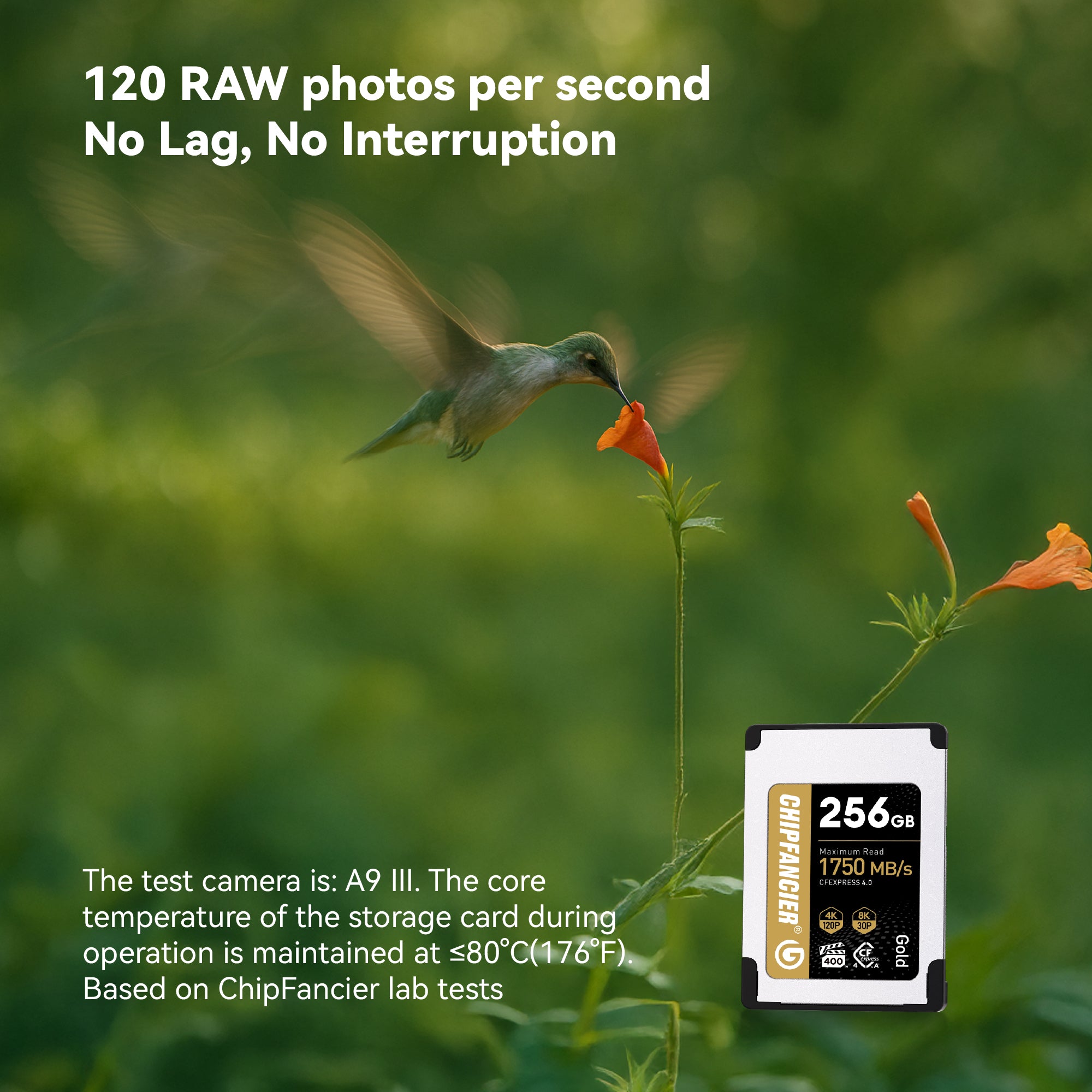 CHIPFANCIER CFexpress Type A 4.0 Memory Card VPG400 Certified